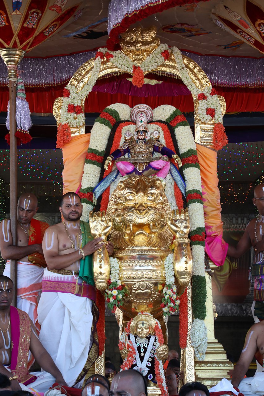 Lord blessed devotees riding on Simha Vahanam – Tirumala Updates